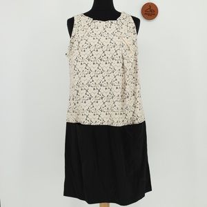 EROTOKRITOS Lace Top Drop Waist‎ Dress